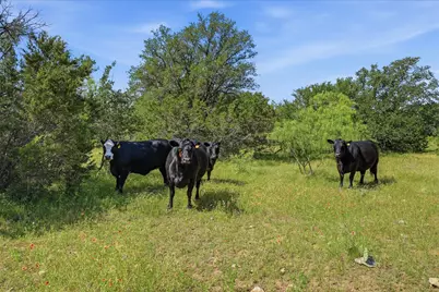 4548 Farm To Market 1148, Graham, TX 76450 - Photo 37