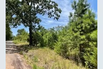 [Address not provided], Pittsburg, TX 75686 - Photo 1