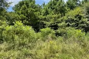 Lot 10 Fm 556, Pittsburg, TX 75686 - Photo 1