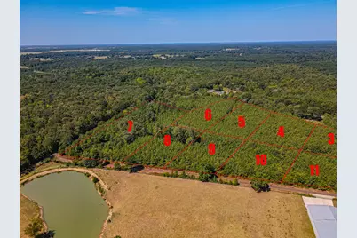 Lot 11 Fm 556, Pittsburg, TX 75686 - Photo 3