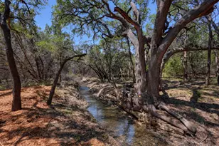 15425 Fitzhugh Rd, Dripping Springs, TX 78620 - Photo 33
