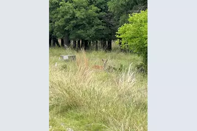 Lot 237 Vista Pointe Drive, Chico, TX 76431 - Photo 1