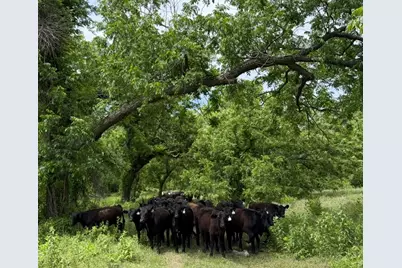 7523 County Road 163, Stephenville, TX 76401 - Photo 17
