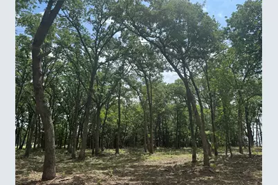 1216 Buck Trail, Pottsboro, TX 75076 - Photo 9