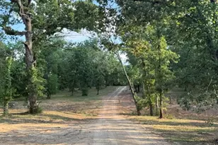 6033 Gowan Dr, Malakoff, TX 75148 - Photo 35