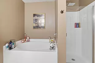 3844 Irish Setter Dr, Fort Worth, TX 76123 - Photo 19