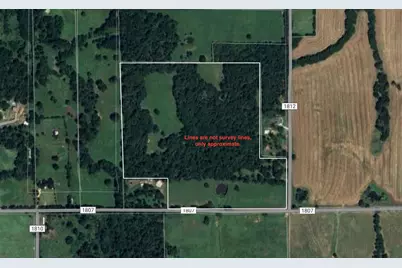 Tbd 55.644 Acres County Road 1807, Yantis, TX 75497 - Photo 25