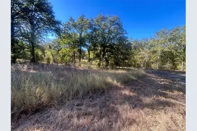 58 Point Lavista, Malakoff, TX 75148 - Photo 3