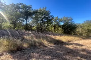 58 Point Lavista, Malakoff, TX 75148 - Photo 1