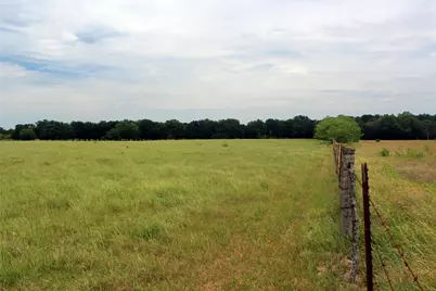 3341 Fm 639, Frost, TX 76641 - Photo 9