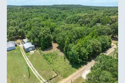 Tbd Vz County Road 4909, Ben Wheeler, TX 75754 - Photo 5