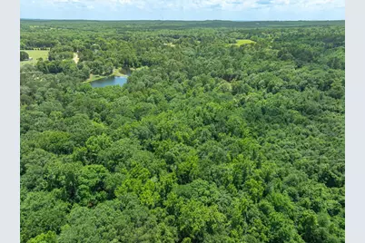 Tbd Vz County Road 4909, Ben Wheeler, TX 75754 - Photo 9