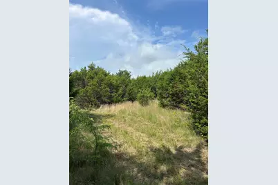 Tbd Fm 1434, Cleburne, TX 76033 - Photo 3