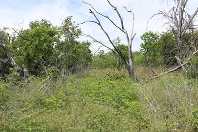 000 State Highway 6, Dublin, TX 76446 - Photo 5