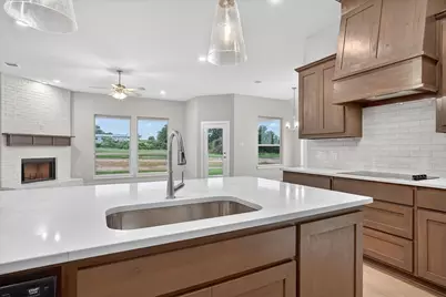 321 Skeen Peak, Springtown, TX 76082 - Photo 9