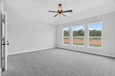 317 Skeen Peak, Springtown, TX 76082 - Photo 19