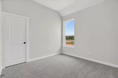 317 Skeen Peak, Springtown, TX 76082 - Photo 17