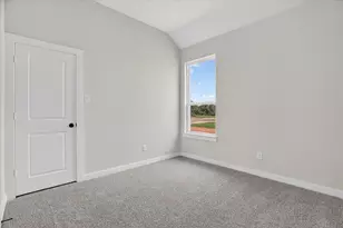 317 Skeen Peak, Springtown, TX 76082 - Photo 17
