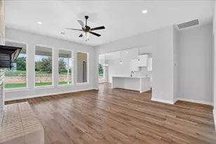 317 Skeen Peak, Springtown, TX 76082 - Photo 5