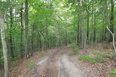 Tract 53.1 Hwy 31, Tyler, TX 75705 - Photo 5