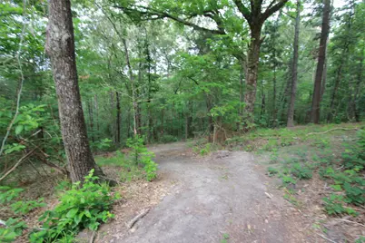 Tract 53.1 Hwy 31, Tyler, TX 75705 - Photo 7