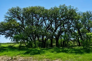 8228 US Hwy 377, Tolar, TX 76872 - Photo 7