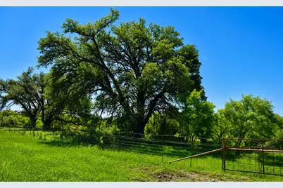 8228 US Hwy 377, Tolar, TX 76872 - Photo 9