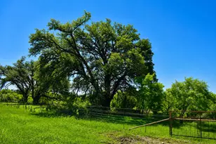 8228 US Hwy 377, Tolar, TX 76872 - Photo 9