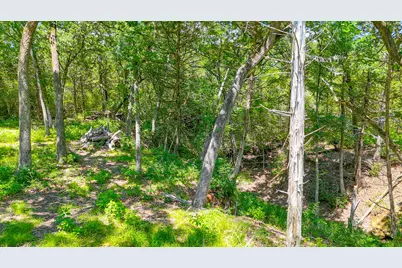 Lot 141 Shenandoah Drive, Streetman, TX 75859 - Photo 21