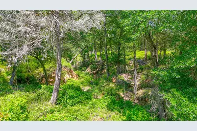 Lot 141 Shenandoah Drive, Streetman, TX 75859 - Photo 17