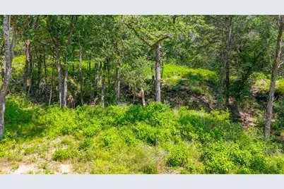 Lot 141 Shenandoah Drive, Streetman, TX 75859 - Photo 5