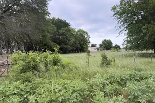 550 Vz County Road 3436, Wills Point, TX 75169 - Photo 5