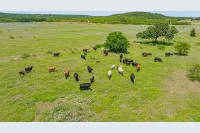 19514 S Fm 4, Lipan, TX 76462 - Photo 11