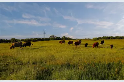 Tbd Fm 920, Poolville, TX 76487 - Photo 15