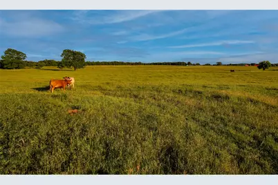 Tbd Fm 920, Poolville, TX 76487 - Photo 11
