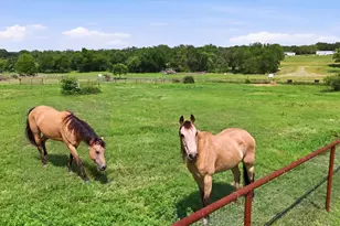 120 Grace Vw Rd, Weatherford, TX 76088 - Photo 39