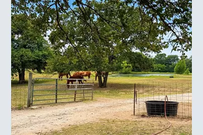 14643 County Road 4060, Scurry, TX 75158 - Photo 7