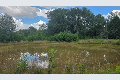 108 County Road 1102, Streetman, TX 75859 - Photo 35
