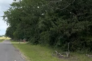 County Road 1805, Grand Saline, TX 75140 - Photo 1