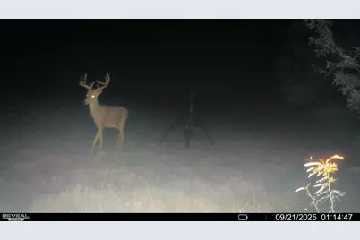 2791 Private Road 5101, Farmersville, TX 75442 - Photo 9