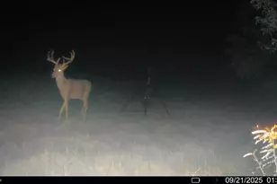 2791 Private Rd 5101, Farmersville, TX 75442 - Photo 9