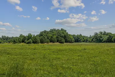 10398 Fm 429, Kaufman, TX 75142 - Photo 5