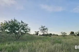 130 Cr 265, Priddy, TX 76442 - Photo 31