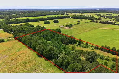 368 County Road 4960, Quitman, TX 75783 - Photo 5