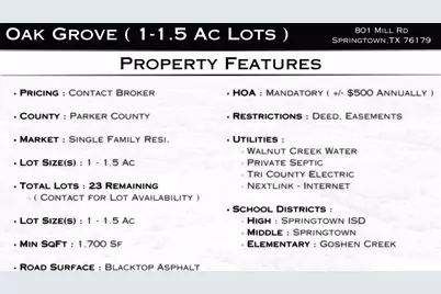 181 Oak Grove Way, Springtown, TX 76082 - Photo 3