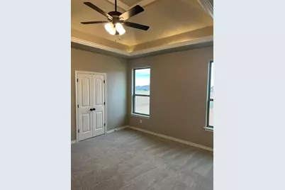 530 Calla Lily Way, Tolar, TX 76476 - Photo 9