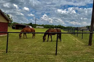 826 Gilliland Rd, Springtown, TX 76082 - Photo 7