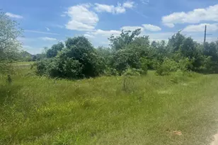 23142 Greenbriar Dr, Whitney, TX 76692 - Photo 1