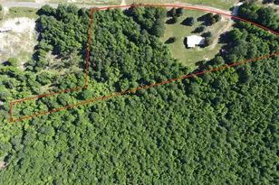 2388 Co Rd 4455, Bivins, TX 75555 - Photo 5