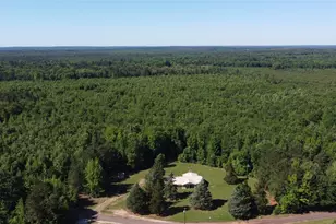 2388 Co Rd 4455, Bivins, TX 75555 - Photo 3